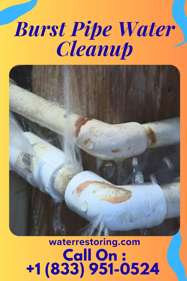 Burst Pipe Water Cleanup in New Hebron, MS