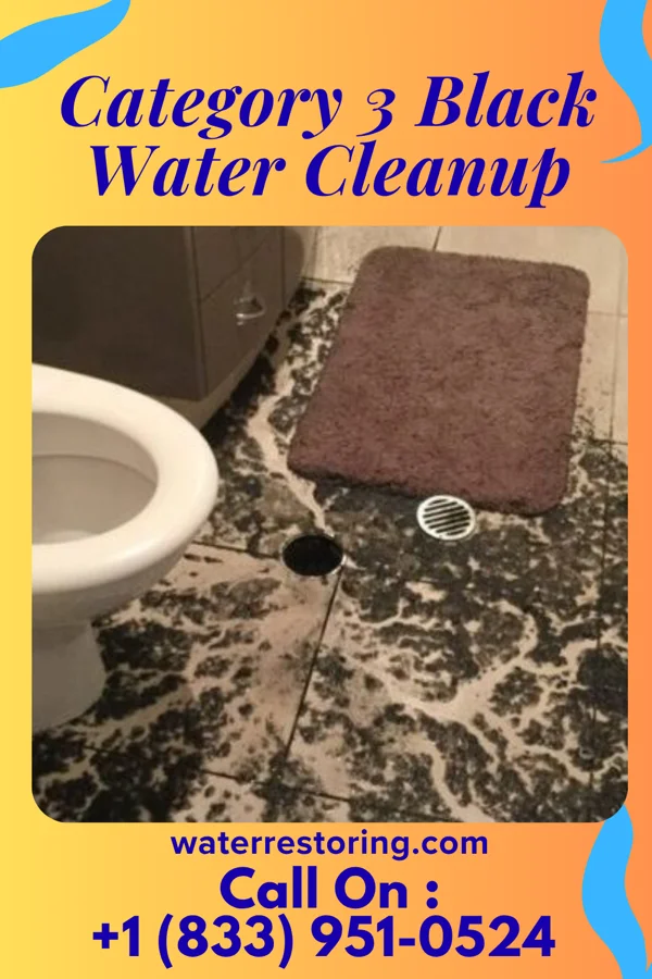 Category 3 Black Water Cleanup in New Hebron, MS