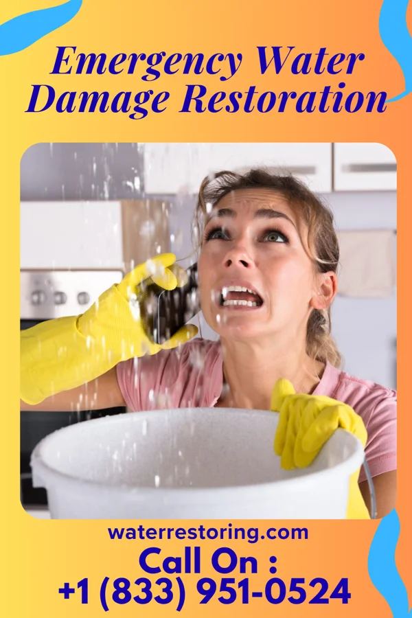 Emergency Water Damage Restoration in New Hebron, MS