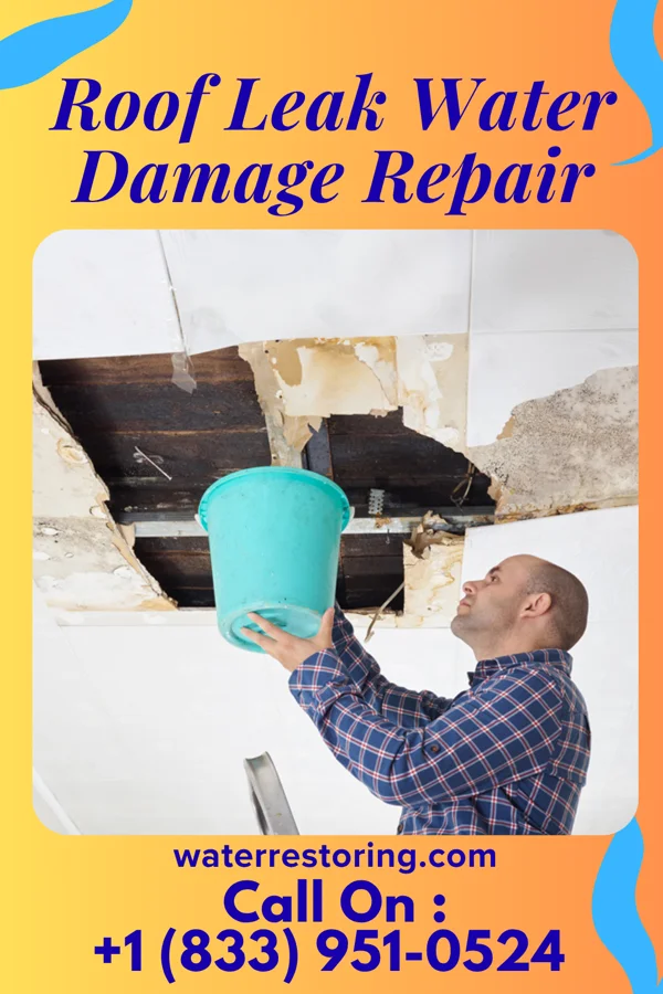 Roof Leak Water Damage Repair in New Hebron, MS